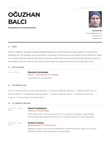  cv indir